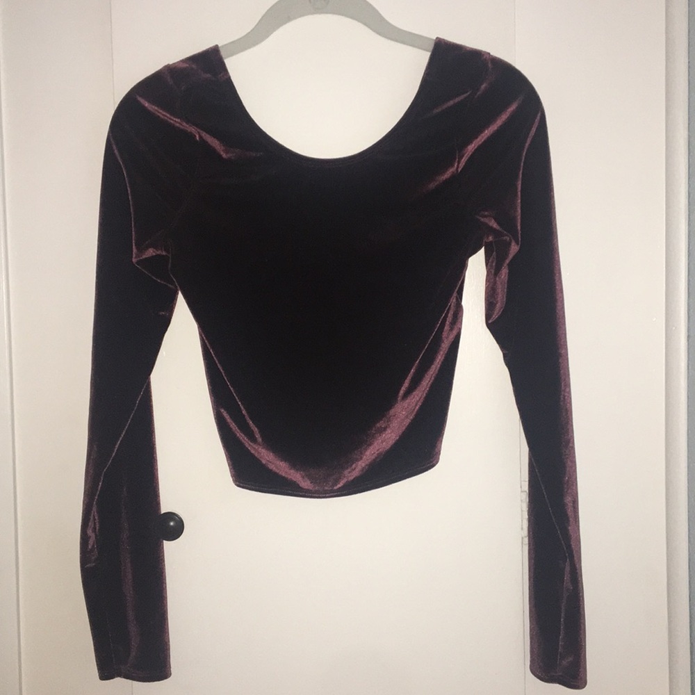 Velvet Crop Top